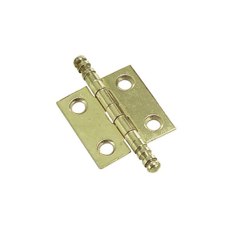 

Bisagra latonada 207 25x25 mm.