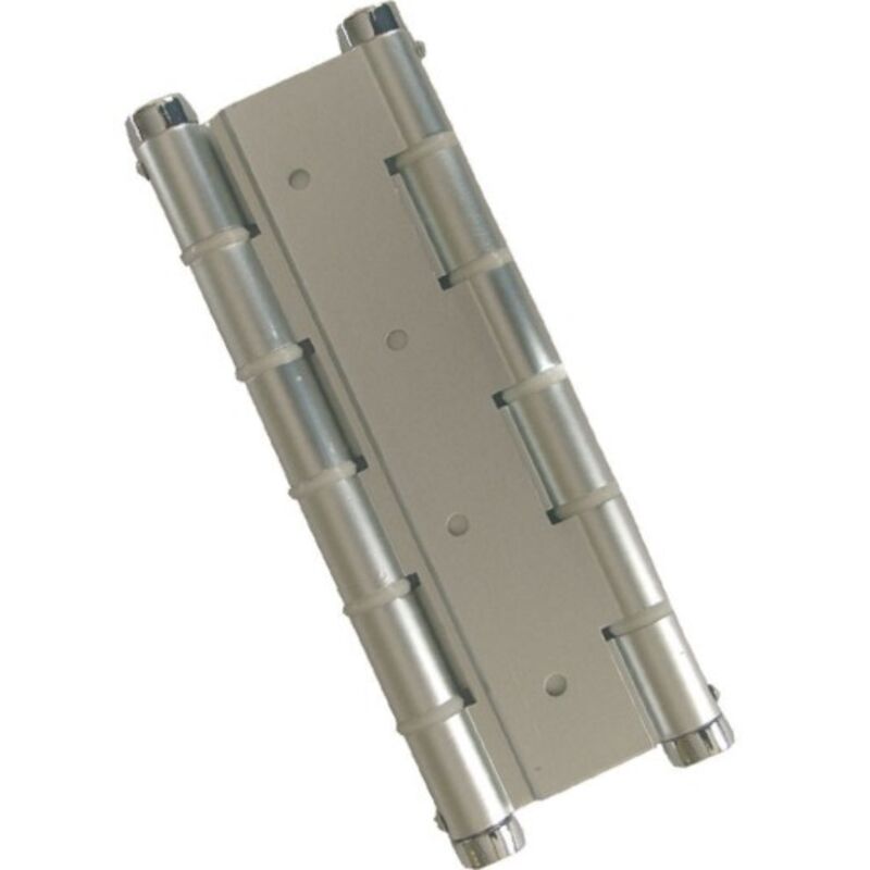 BISAGRA DOBLE ACCION. PLATEADO.