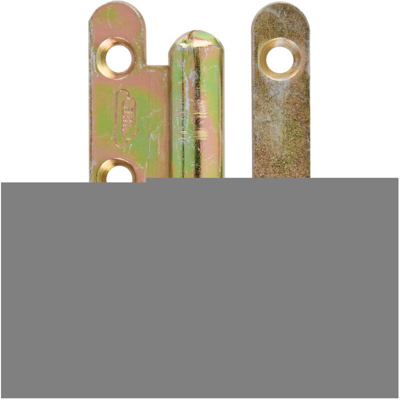 Bisagra Paumelle Br 80x40 Izquierda