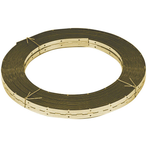 Bisagra piano Rollo 25MTS 40mm. HL