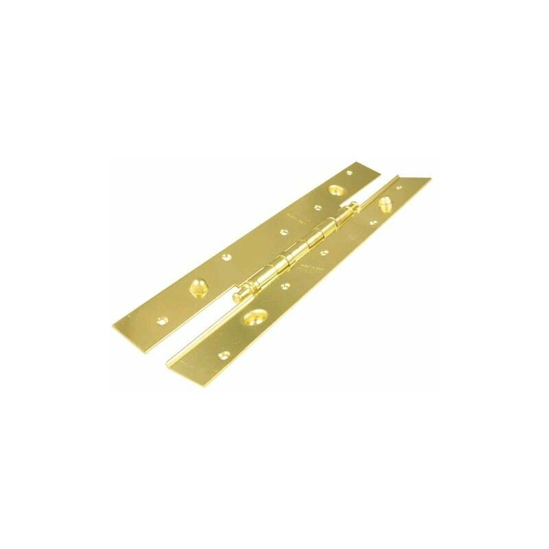 

Bisagra Seguridad 2030X40D Con Rodamiento Latonada