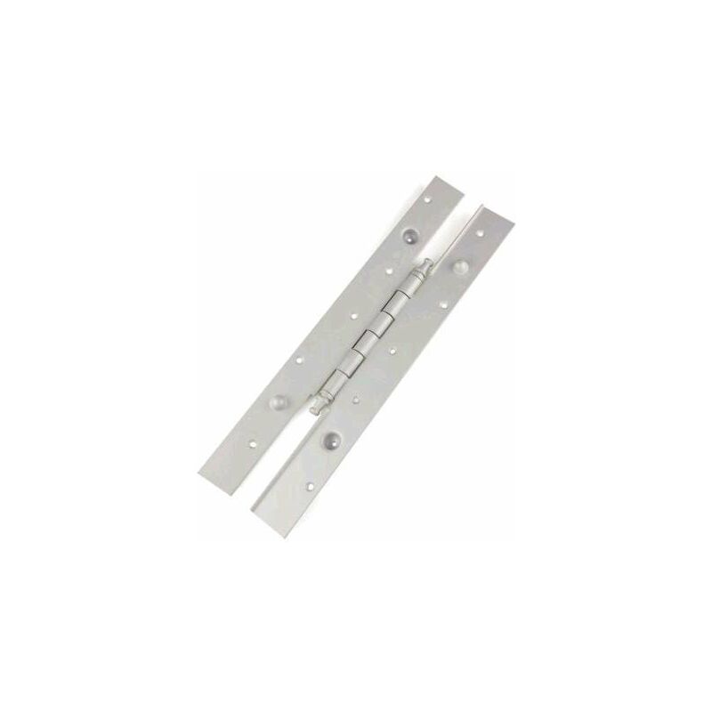 

Bisagra Seguridad Remate Largo 2030X45D Latonada