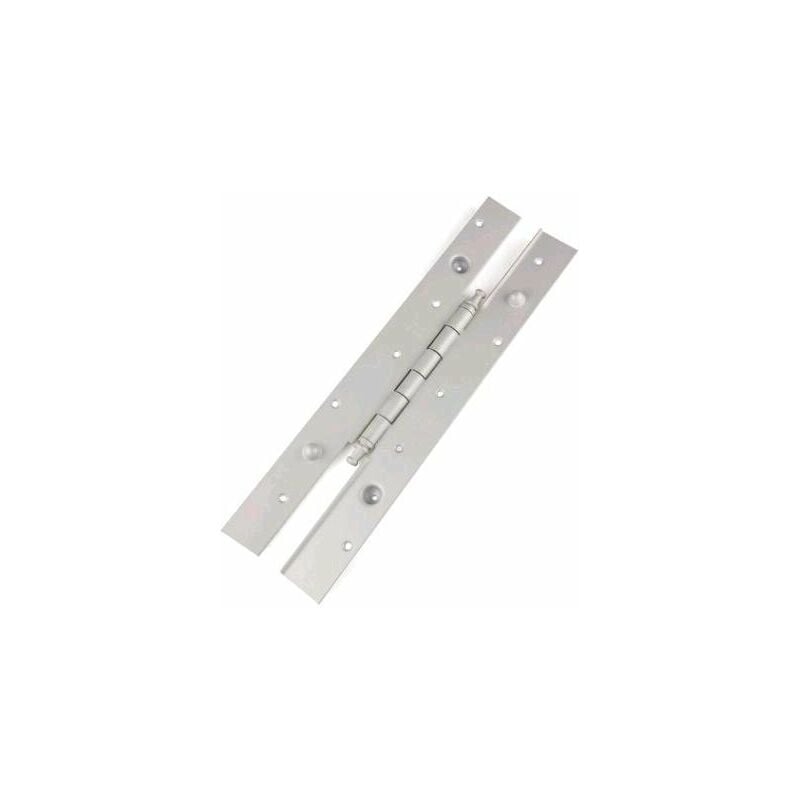

Bisagra Seguridad Remate Largo 2030X45I Latonada