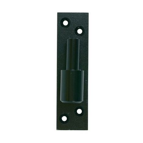 ING FIXATIONS Bisagra sobre placa de cataforesis negra FIJACIONES DE ING - Ø 14 mm - A000870