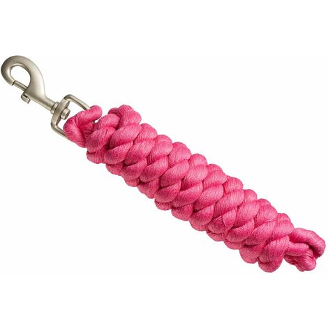 Bitz Basic Lead Rope With Trigger Clip - Pink