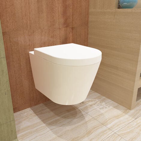 Biubiubath Rimless Wall Hung Toilet Soft Close Seat Modern Bathroom Round WC Pan