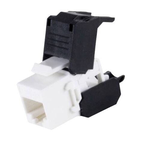 BKL Electronic 2900007 Module RJ45 encastrable CAT 6a 1 pc(s) A671083