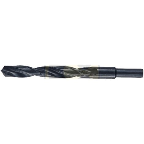 BL PUNTA HSS CODOLO 10 MM D 13 MM