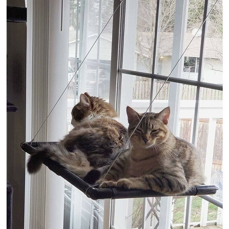 Dracary's Window Cat Hammock,For Large Cats Up To 25 Kg,Sunbathing,Pet Bed,For Large Windows,Suitable For Windows With A Length ≥ 74 Cm And A Height