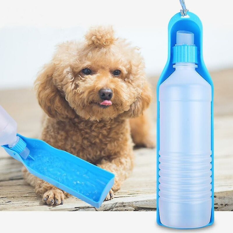 Blaue Hundewasserflasche