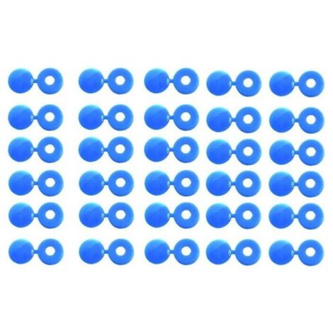 Blaue Nietenabdeckungen für Nummernschilder – Passend für 4 mm Durchmesser – 30er-Pack für ein sauberes, professionelles Erscheinungsbild