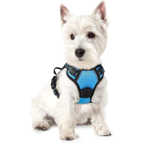Blaues Hundegeschirr, Größe S, Brustumfang 34–63 cm, 1 Stück, verstellbar, gepolstert, Hundeweste, Polyester, Haustierweste