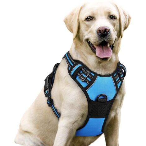 Blaues Hundegeschirr XL Brustumfang 48-98cm 1 Stück Verstellbare gepolsterte Hundeweste Polyester Haustierweste