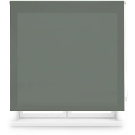 Blindecor Ara  Tenda a rullo traslucida tinta unita - Grigio bluastro, 160 x 175 cm (Larghezza x Altezza)  Dimensioni del tessuto 157 x 170 cm  Tenda per interne