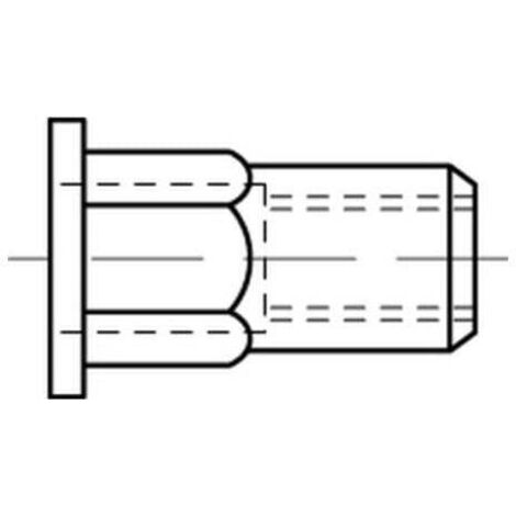 Blindnietmutter A 2 m. Sechskant Flachkopf M 5 / 0,5 - 3,0 S 500 Stk