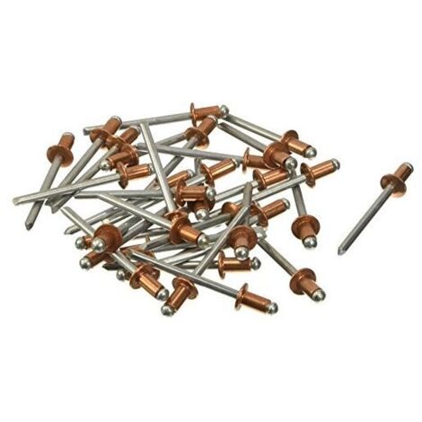 Blinky Rivetti Rame Scatole Pezzi 1000 4.8x 9mm