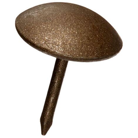 Blister de 25 clous en bronze 10mm