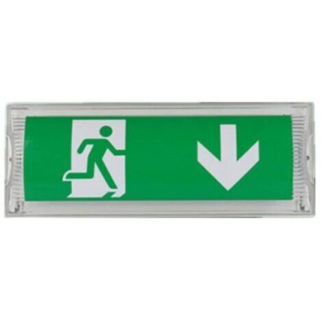 Bloc autonome d'éclairage de sécurité 3 heures – Protection IP65 – 200Lm 6500K – Lampe LED 27 unités pour intérieur et extérieur - 27LED