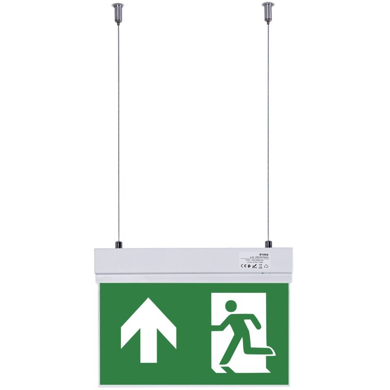 Bloc autonome d'éclairage de sécurité avec pictogramme 'sortie