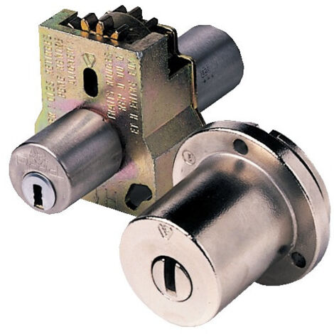 Bloc cylindre RADIALIS cylindre de 50mm pour SECURIBLOC fourni avec 4 clés - VACHETTE - 27422000