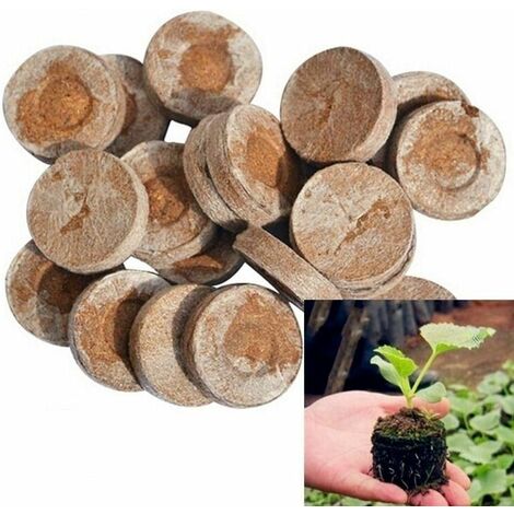 Bloc de nutriments compressés pour pépinière 5 pièces, bloc de plantes 30mm pour pépinières, bloc de plantes de jardin, semis de tourbe LangRay