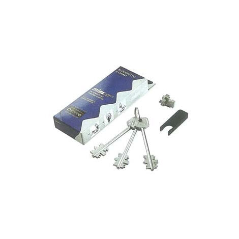 Bloc de rechange scellé avec 3 clés à double panneton 116 mm - (BLO3210)