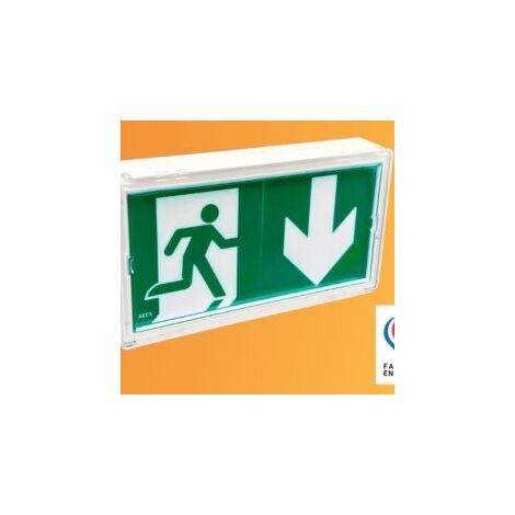 Bloc d'éclairage de sécurité 100% LED 4222777 – IP42 – 470 lm – Installation en saillie, plafond ou encastré – Autonomie 1h