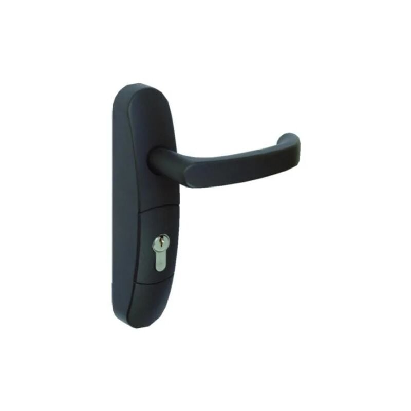 JPM - Module pour anti-panique béquille débrayable clé i EN3000