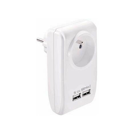 Bloc Gigogne + 2 Prises Usb 5V Erard