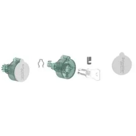 Blocco a chiave schneider electric per kaedra - 13948