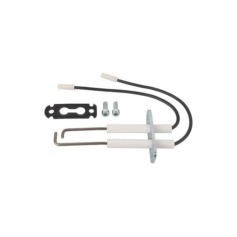 Bloch electrode d'allumage convient pour Vitodens