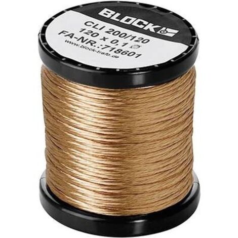Block Filo di rame smaltato Diametro (con Isolante)=0.10 mm 15 x 0.1 mm 192 m 0.20 kg