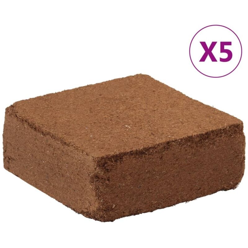 Blocs de noix de coco 5 pcs 5 kg chacun 25 kg au total vidaXL
