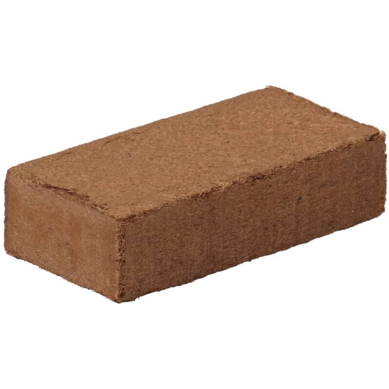 Blocs de noix de coco 24 pcs 650 g chacun 15,6 kg au total - Vidaxl