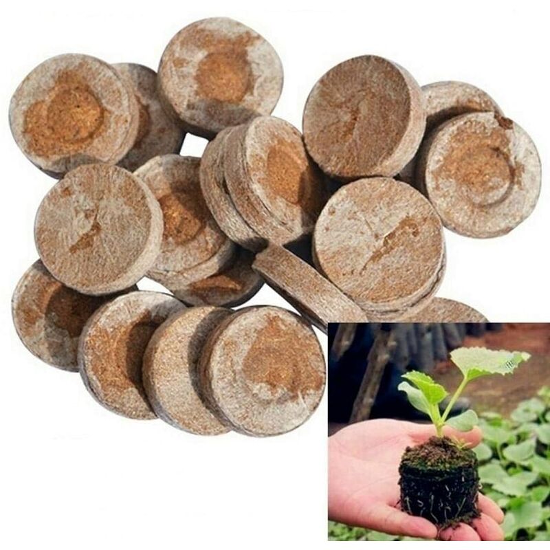 

Bloque de nutrientes comprimido para vivero | 5 piezas, bloque de plantas de 30 mm para viveros, bloque de plantas de jardín, plántula de turba