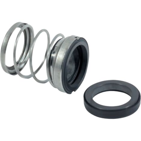 BLQ/V Tenuta meccanica Molla Cilindrica VITON Carburo di silicio  40 mm