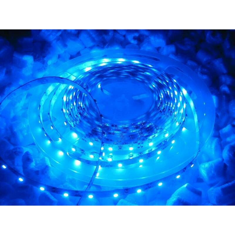 Image of Aftertech - blu blue 5m led strip striscia impermeabile 12v 4.8w/m smd3528 24w IP65 C3E4