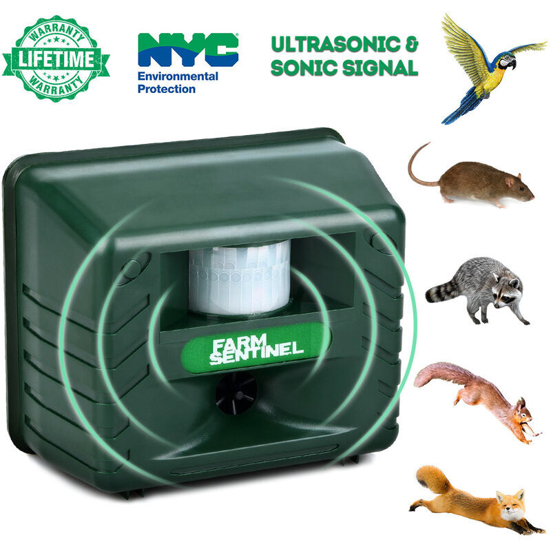 Répulsif anti-oiseaux à ultrasons, à piles deterrer, peur des pigeons