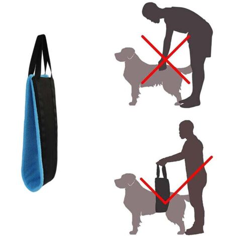 blue Porte-chien portable pour les pattes arrière, harnais de soutien des hanches pour aider à soulever l'arrière, pour la rééducation des ligaments croisés assistée par un chien.