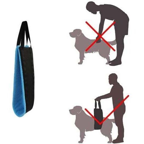 blue Porte-chien portable pour les pattes arrière, harnais de soutien des hanches pour aider à soulever l'arrière, pour la rééducation des ligaments croisés assistée par un chien.