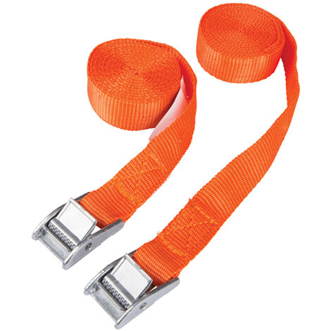 Blue Spot Tools Cam Buckle Tie-Down Straps Twin Pack 2.5m