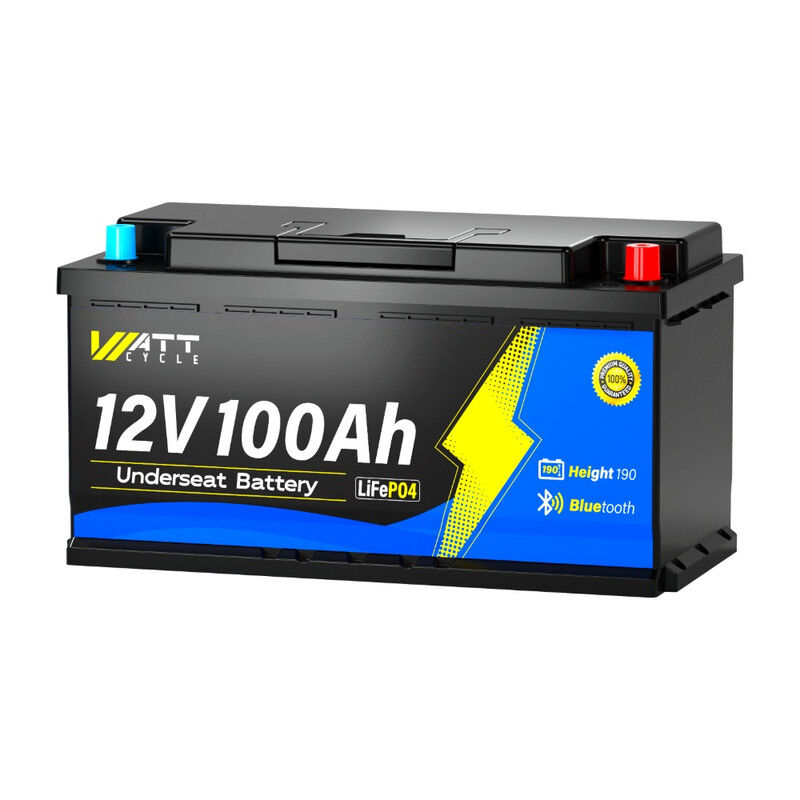 Bluetooth Batterie Lithium 12V 100Ah Batterie LiFePO4 avec Protection Low-Temp,BMS Smart 100A,15000 Cycles pour Siège de la Plupart de Camping-Cars
