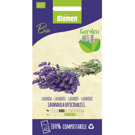 Blumen Lavanda officinalis bio