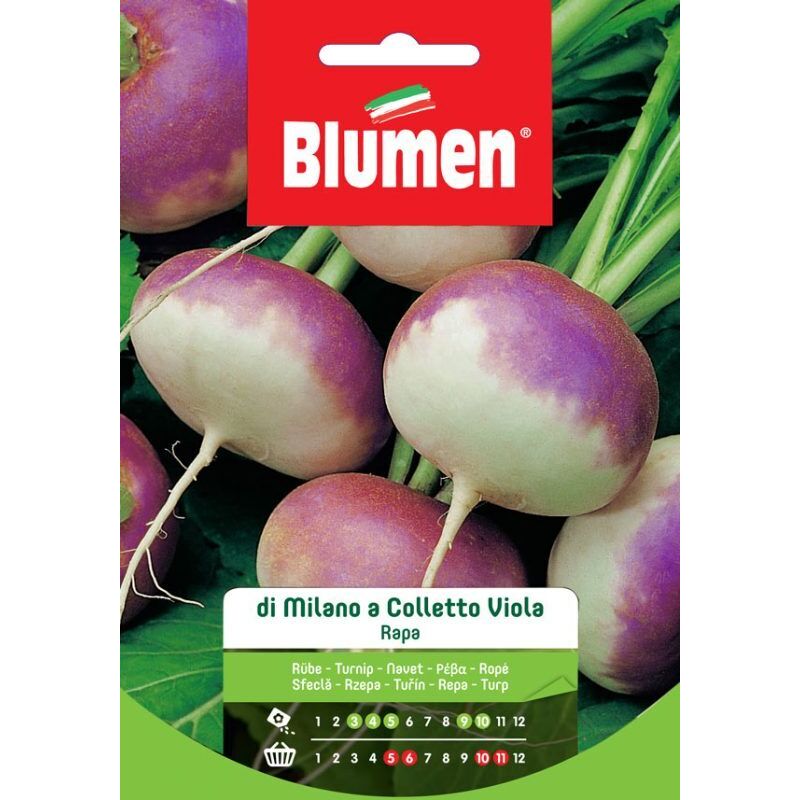 Una immagine