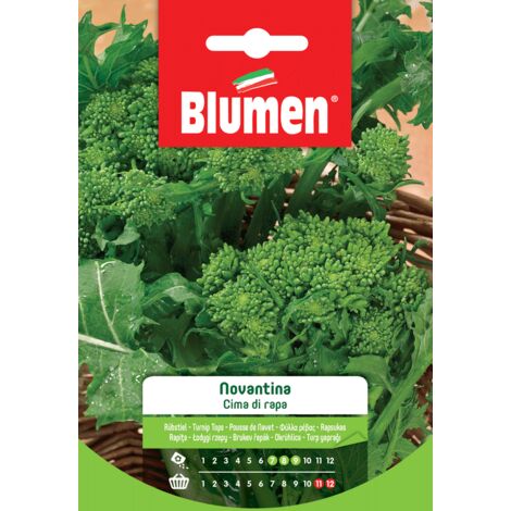 Blumen semi cima di rapa novantina
