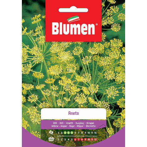 Blumen Semi di Aneto