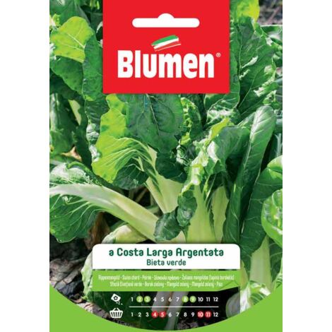 Blumen. Semi di Bieta Verde a Costa Larga Argentata