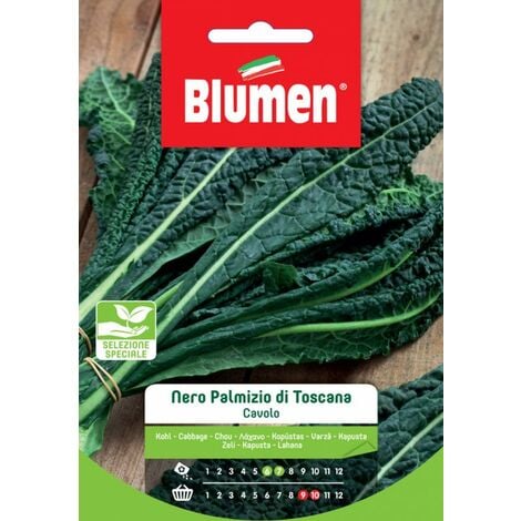 Blumen. Semi di Cavolo Nero Palmizio di Toscana