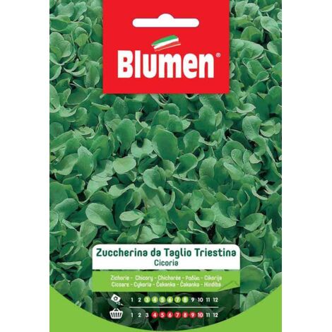 Blumen. Semi di Cicoria Zuccherina da Taglio Triestina