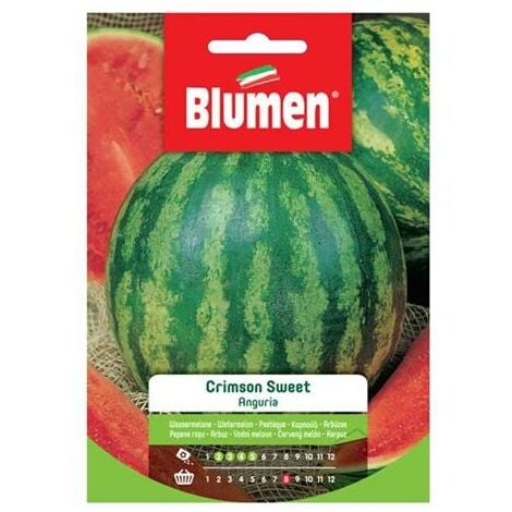 Blumen. Semi di crimson sweet anguria.